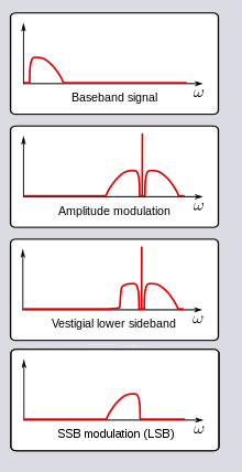 Am-types.png